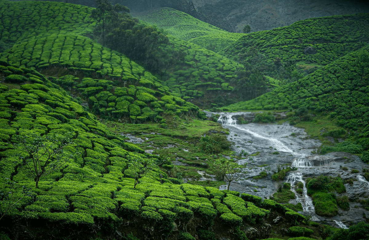 Himachal Hill Station